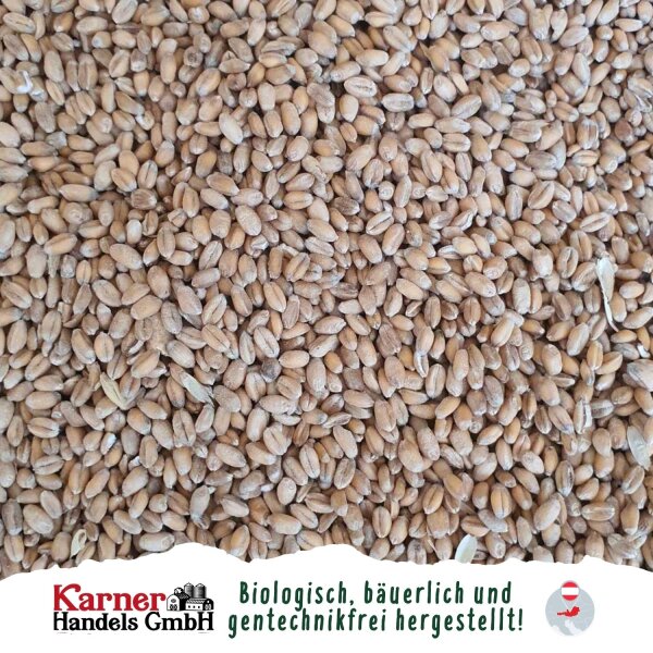 Karner Bio Futter-Weizen 25 kg