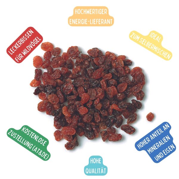 Erdtmanns Futterrosinen, 15 Beutel je 1000g